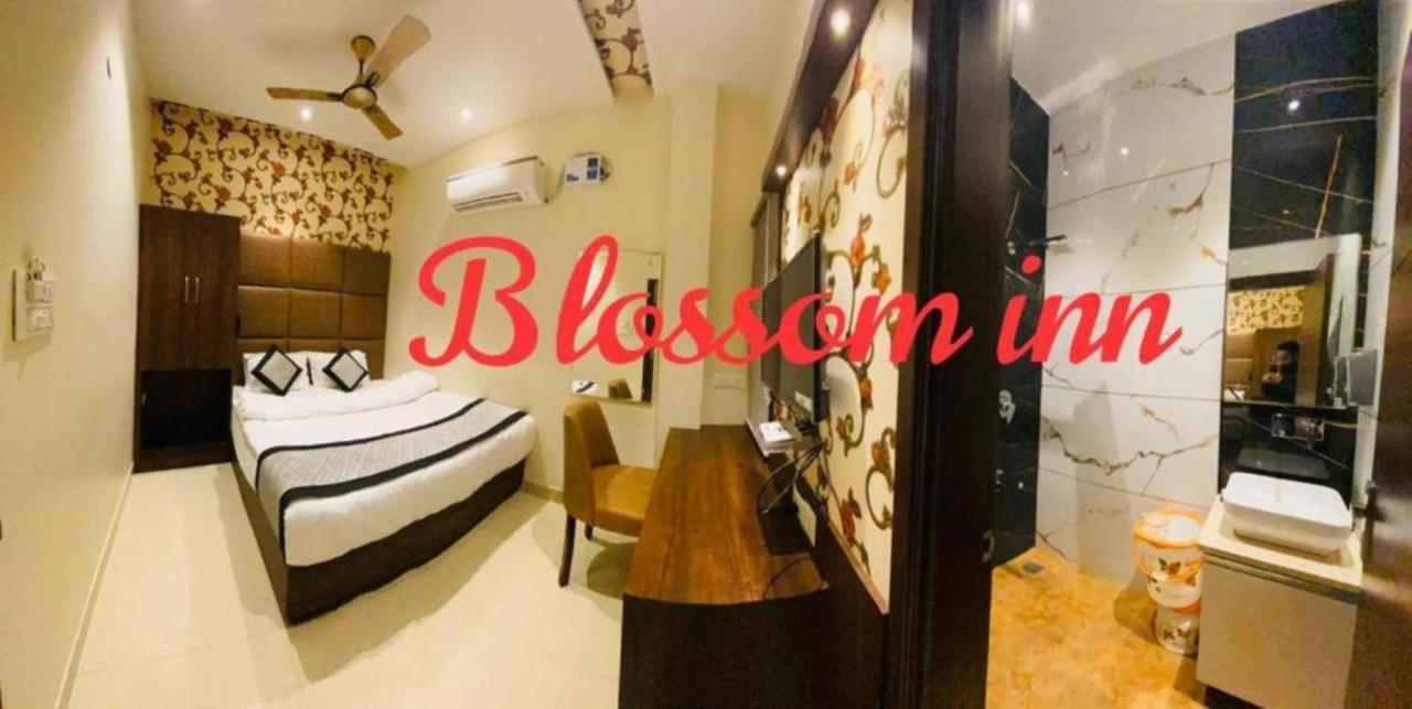 Blossom Campsite *